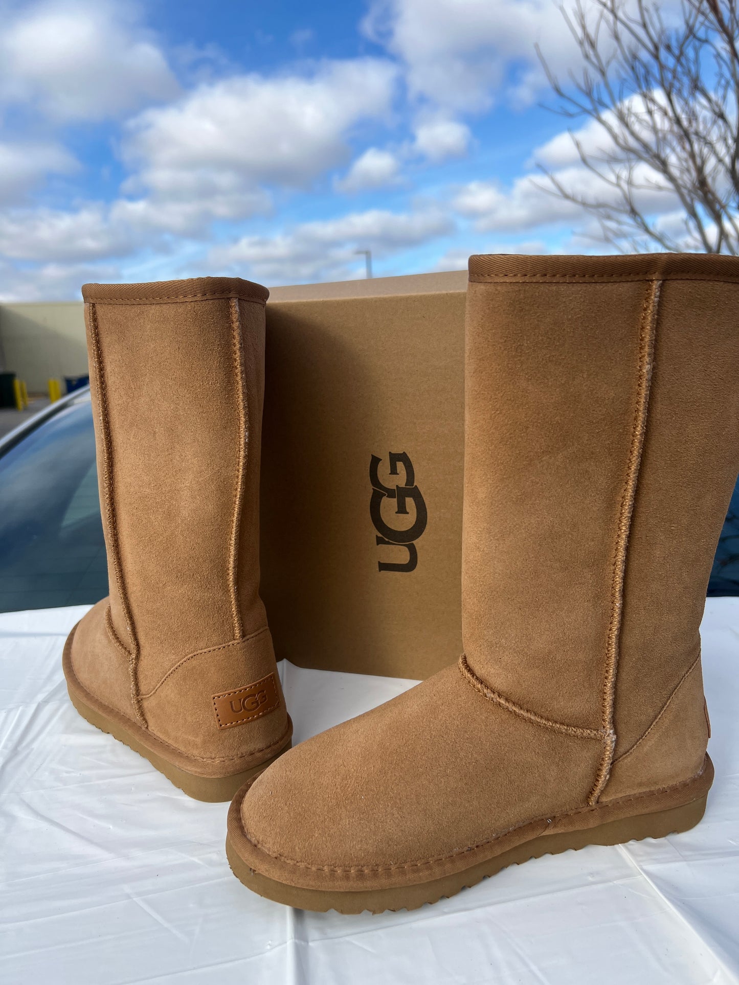 Classic Ugg Boots