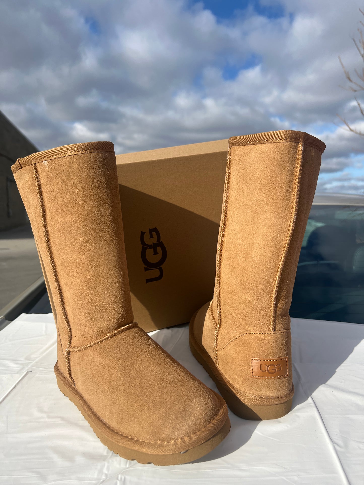 Classic Ugg Boots